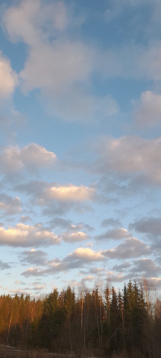 Небо в деревне...