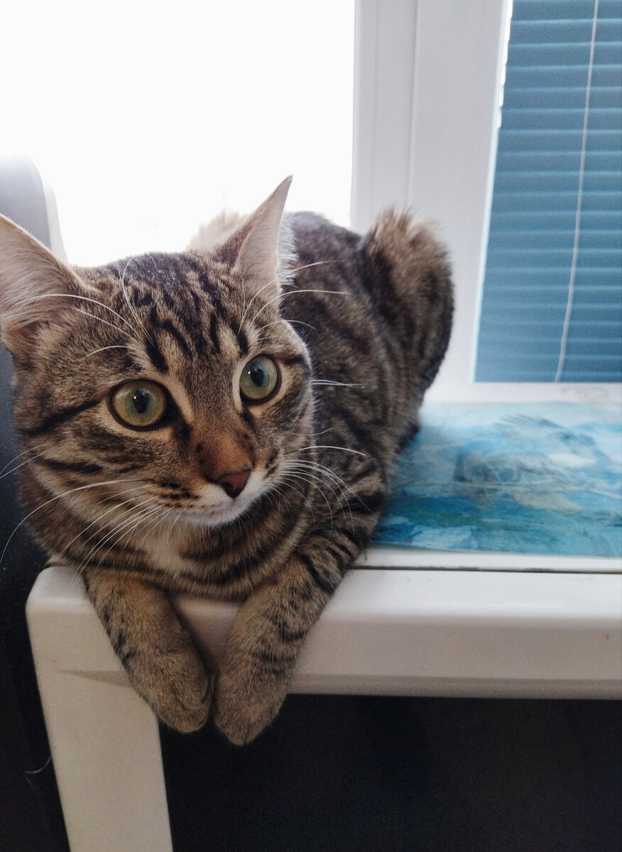 Это он чему то удивлен,Мне иногда интересно наблюдать за его выражением"лица"😀