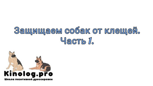 Про средства защиты от клещей, для собак.