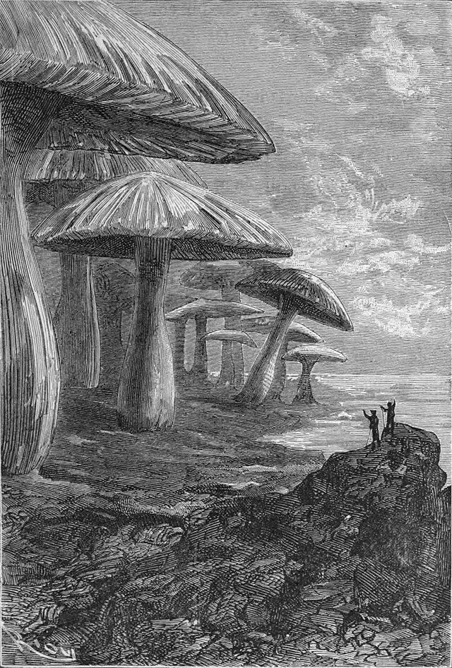 Эдуард Риу (1833-1900). Иллюстрация к роману Жюль Верна "Путешествие к центру Земли". Изображение взято из открытых источников