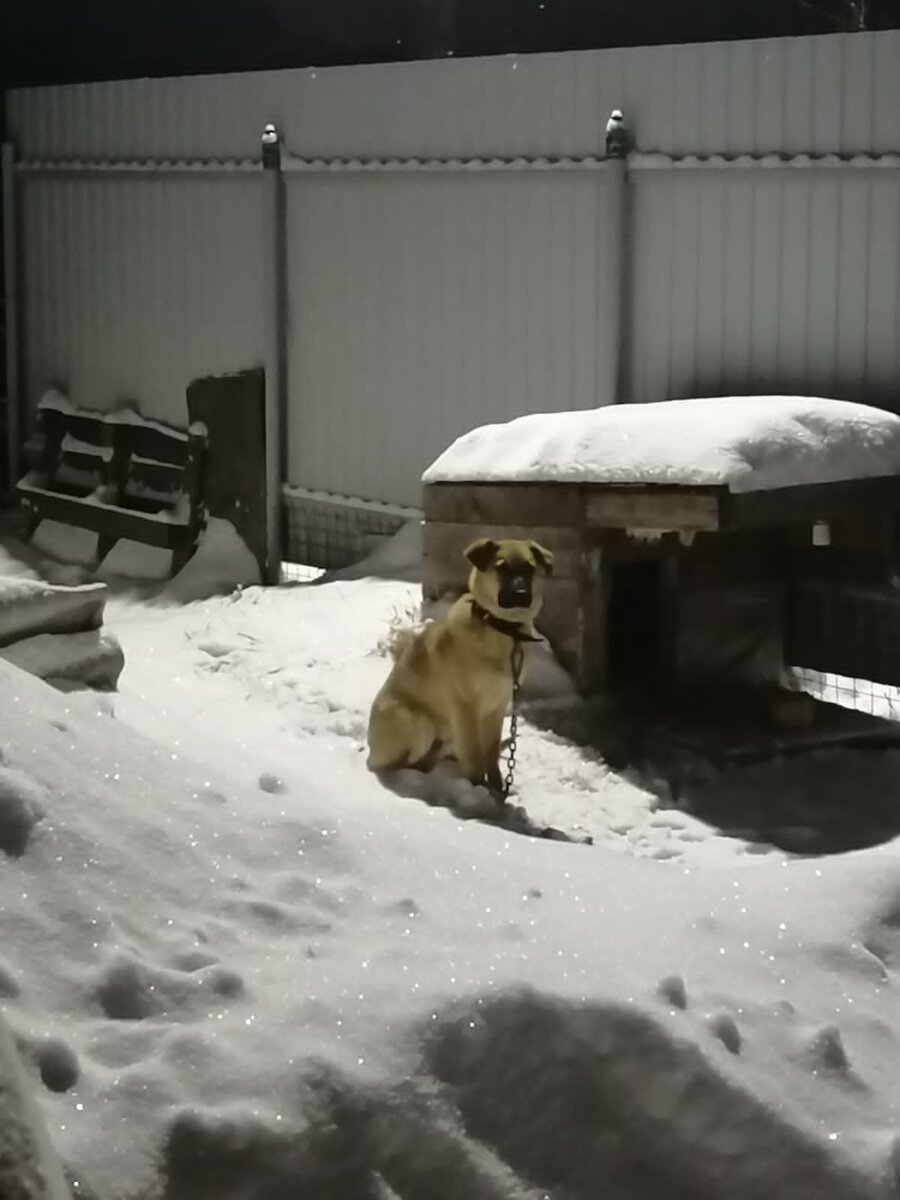 Вот так у него началась жизнь дома :(((