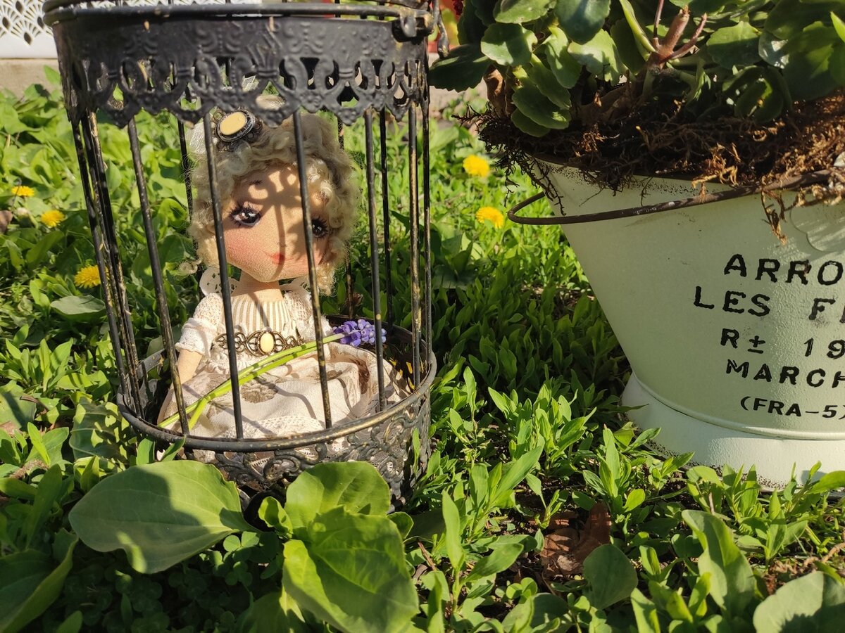 Садовое рабстве - дело добровольное