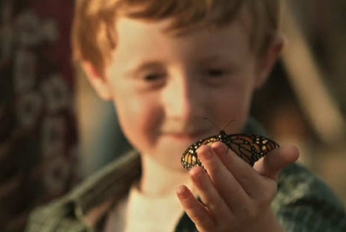 Картинка мальчик с бабочками. Про мальчика и бабочек. Цирк бабочек короткометражка. Мультяшные дети с сачком. Про мальчика и бабочек.