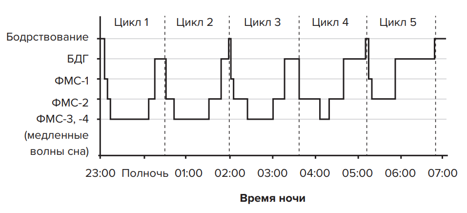 Виды сна схема