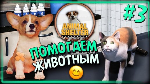 РАСШИРЯЮ ПРИЮТ и ВЫХОЖУ НА 2 МЕСТО В РЕЙТИНГЕ! 🐾 Animal Shelter Прохождение ► СТРИМ #3