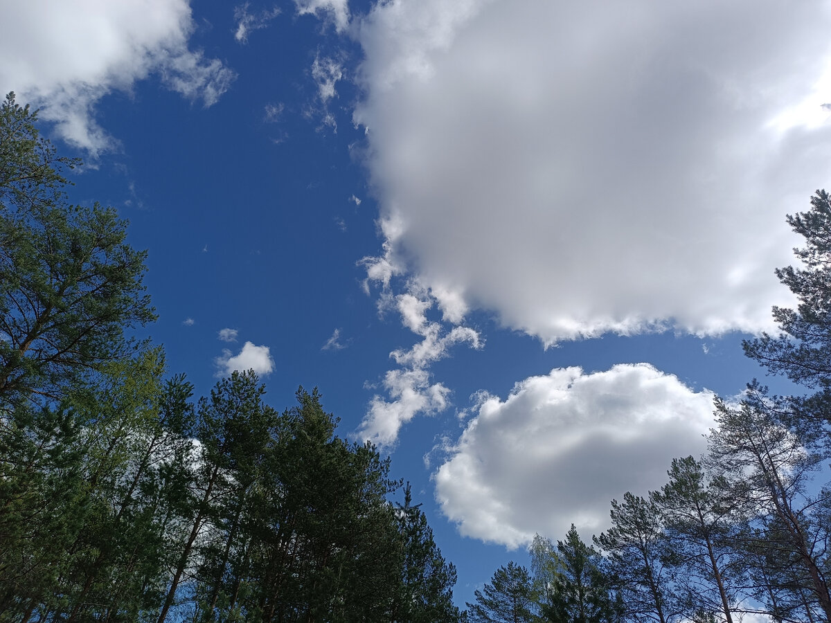 Фото из личного архива