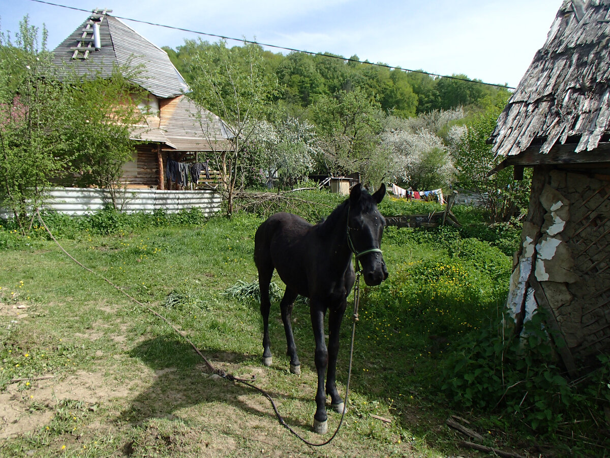 в поселке