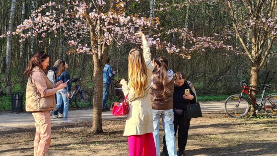    В Москве 10 мая ожидаются переменная облачность и до +17°C Анна Белая