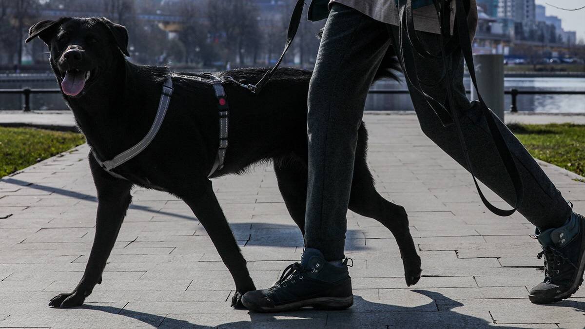    Фото: Софья Сандурская / АГН Москва