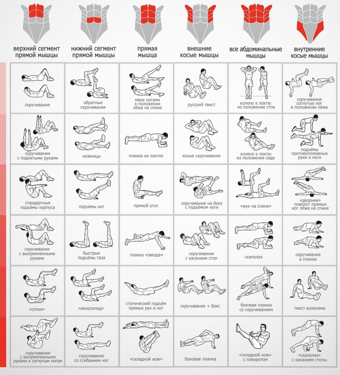 Упражнения на пресс картинки с описанием для начинающих