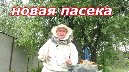 Опять пасека. Как без неё?