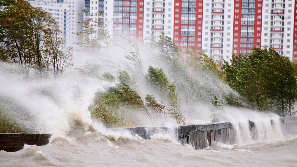 В кресле в воде