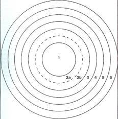 Круги близости . Не советую вам просто их изучать и читать, потому что на курсе есть задание. Где вы впервые их используете и заполняете, именно это может вам помочь узнать себя 