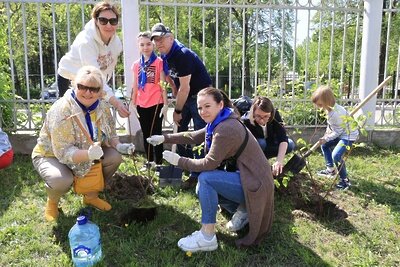    Акция «Лес Победы» в Дзержинском © Пресс-служба Московского областного регионального отделения партии "Единая Россия"