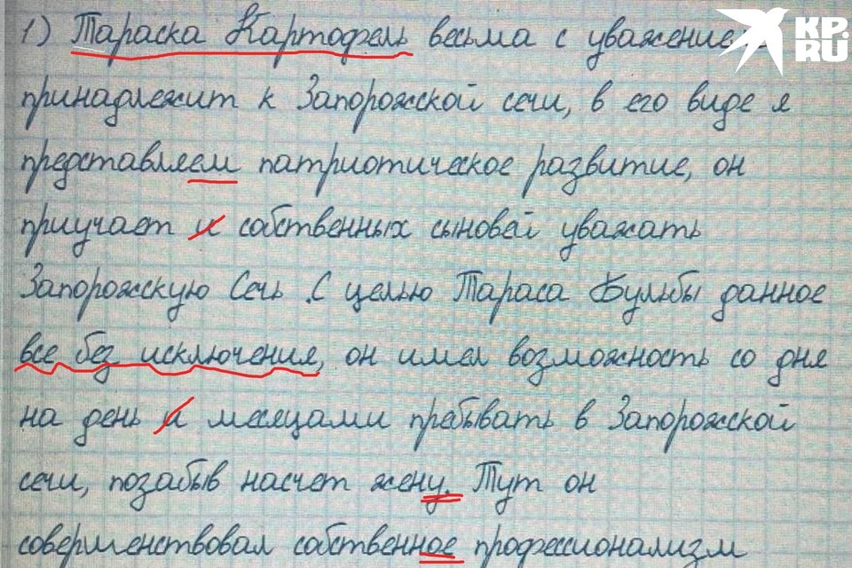    Герой романа Гоголя превратился в Тараску Картофеля. Фото: Предоставлено учителями
