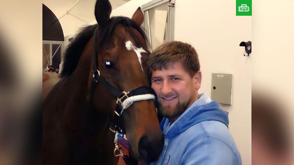    Фото: RKadyrov_95 / t.me