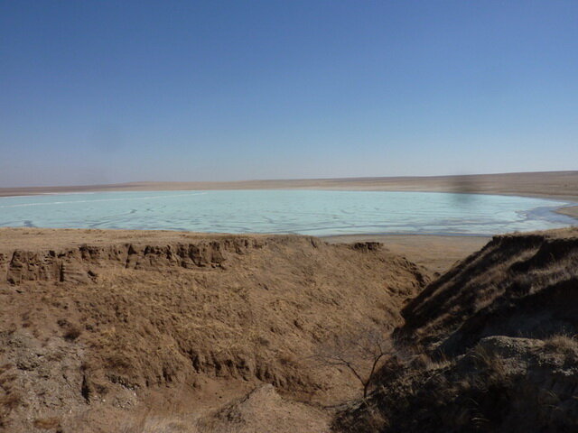 Начало полевого сезона | Даурский заповедник | Дзен