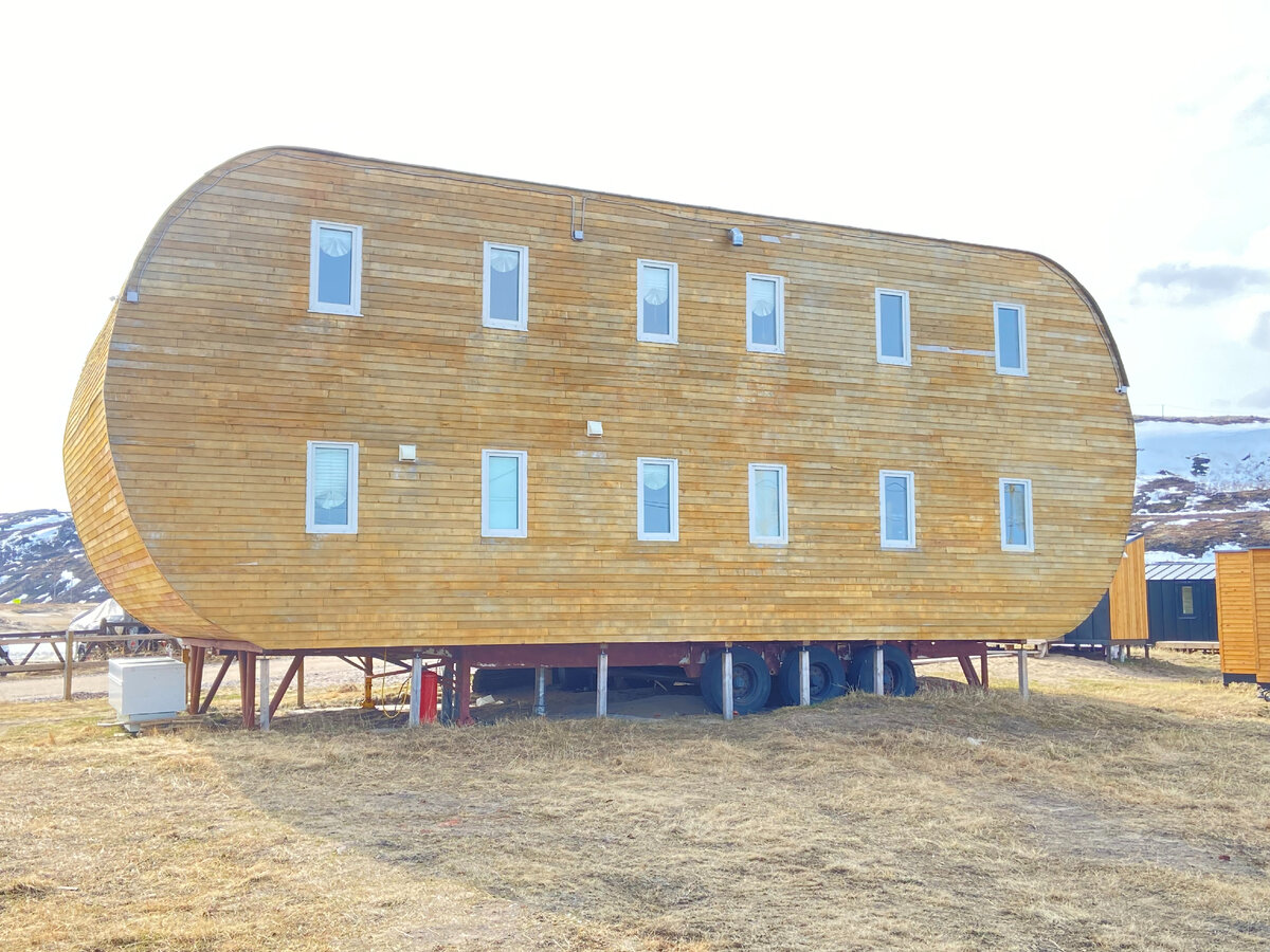 Согласитесь, какой-то ни разу не коричневый цвет дерева. Мало того. что не коричневый, так ещё и разнооттеночный. (Фото из личного архива автора, (С), 2023 г.)