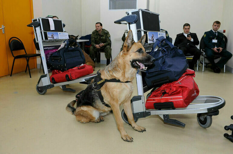   Игорь Самохвалов/ПГ