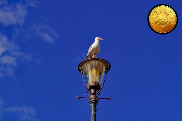 Коллаж из изображений Pixabay