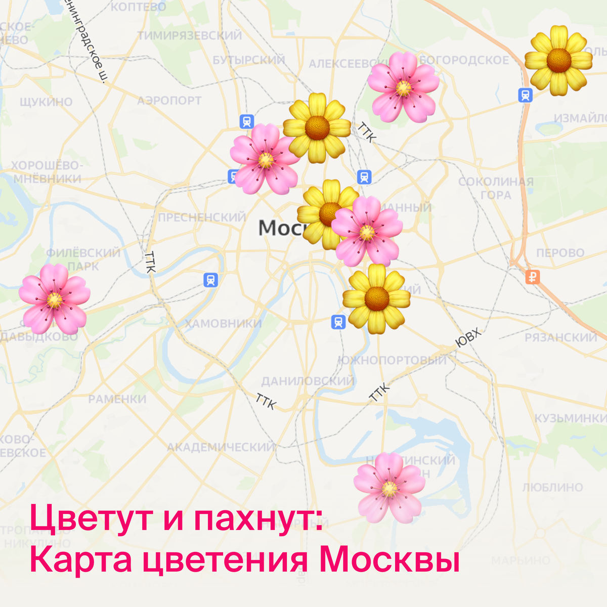 Карта цветения в москве