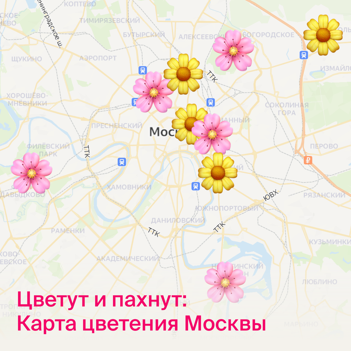 Карта цветения москва