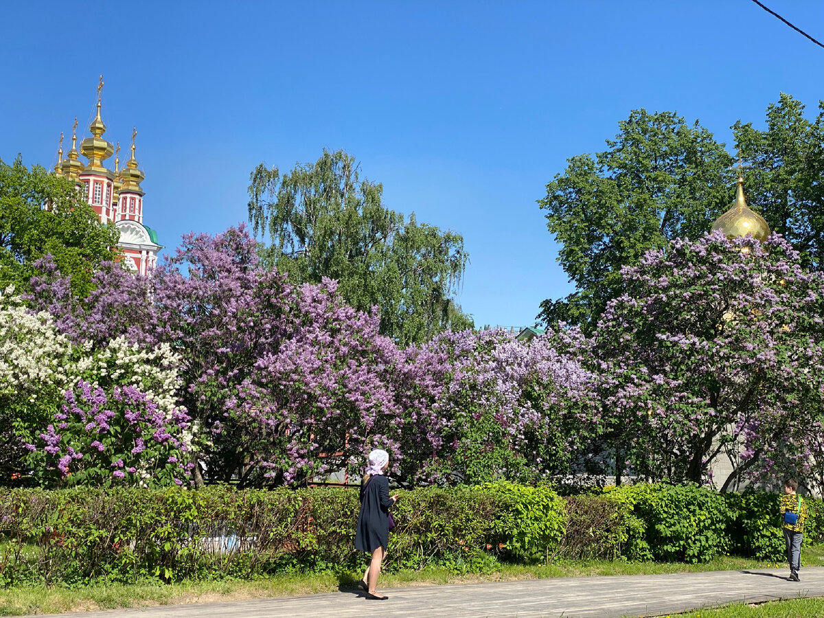 Фото автора: Россия, Москва, Новодевичий монастырь. 