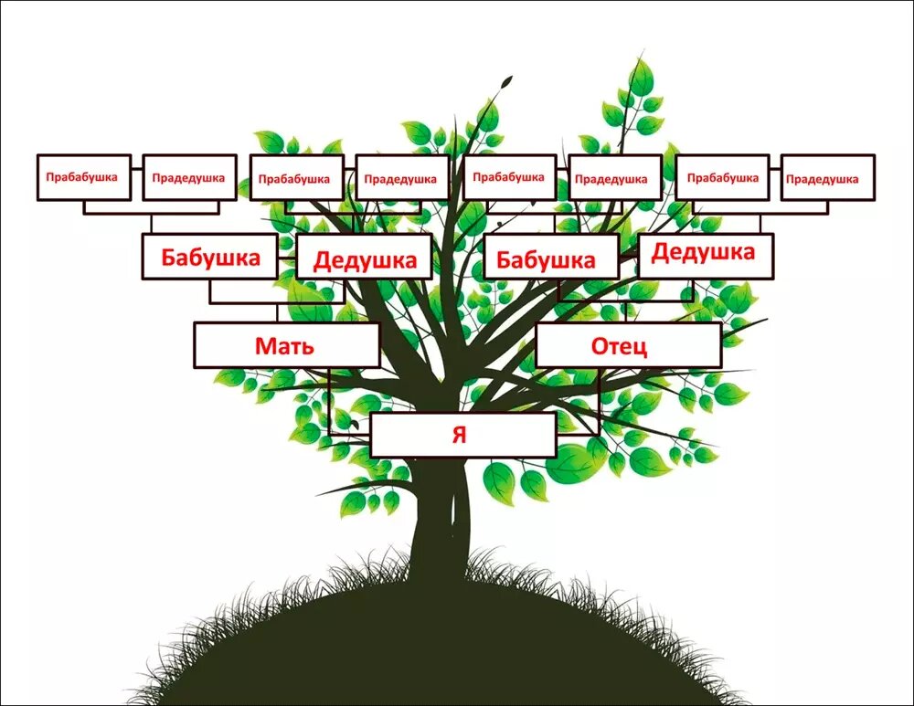Родословное дерево, дерево семьи, древо рода, семейное древо