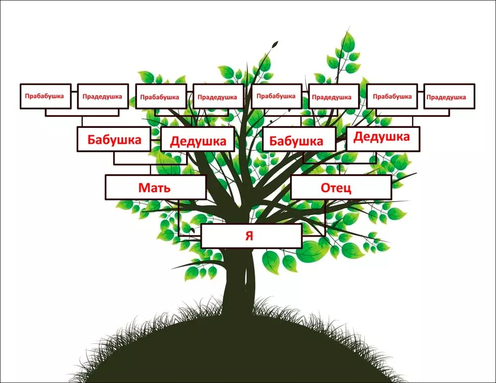 Как составить генеалогическое древо самостоятельно