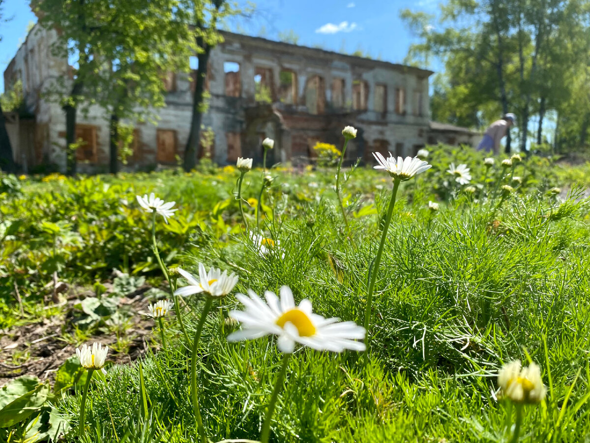 Потомки Пушкина на Тульской земле. Восстановление старинной усадьбы Гартунг  Федяшево | Культурные прогулки | Дзен