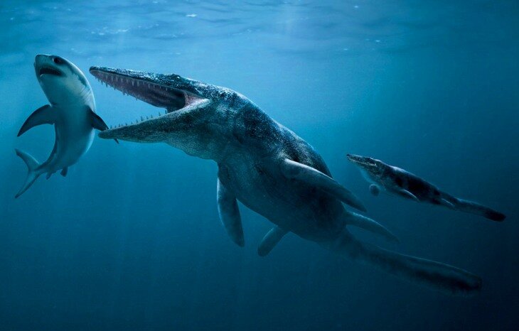 Глубоководные океанские просторы