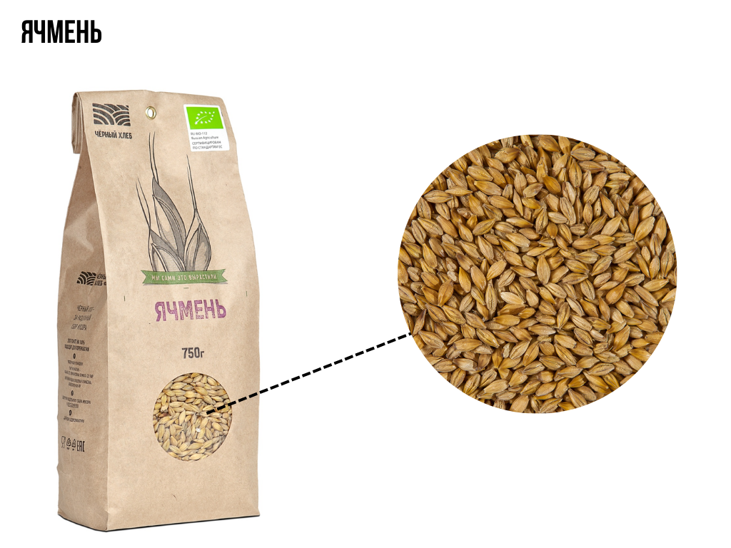 Ячмень - полезная крупа в вашем рационе | Органическая ферма "Чёрный ...