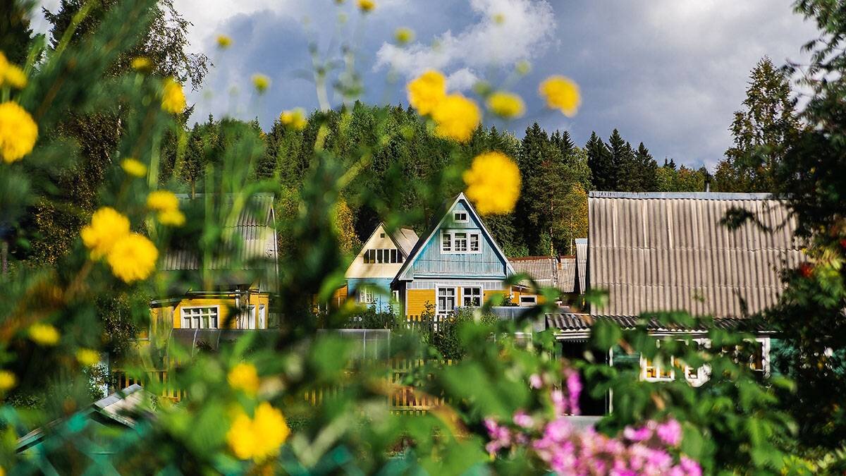    Фото: shutterstock