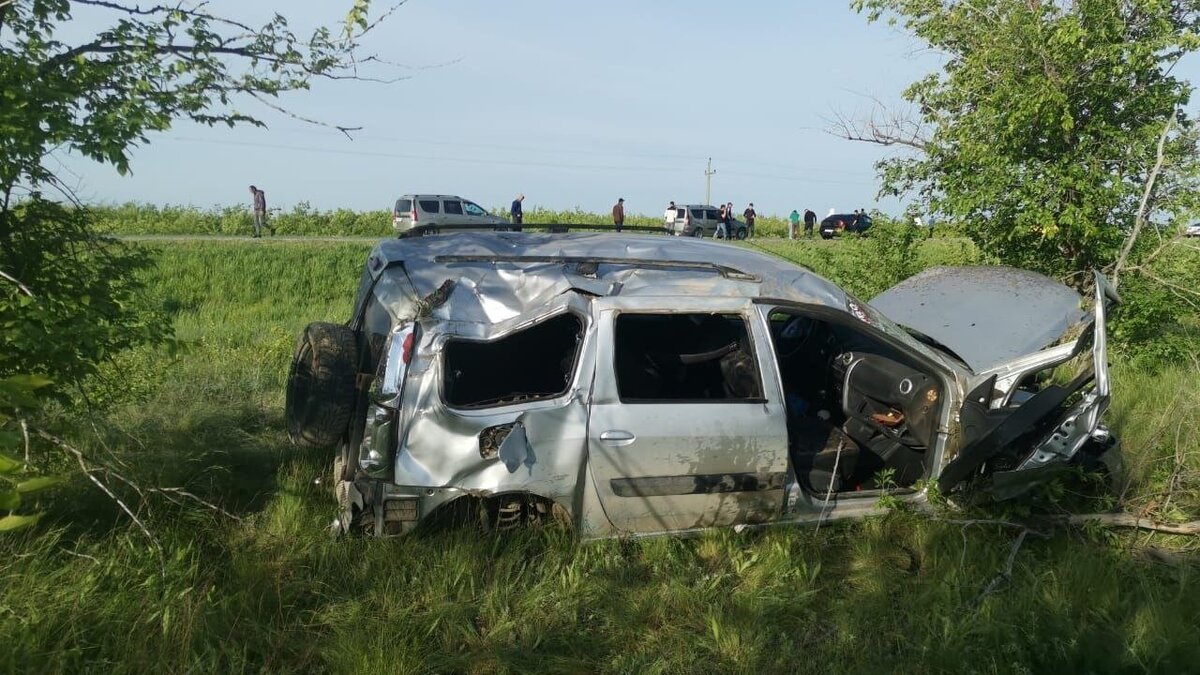    4 человека пострадали в сбившем косулю «Ларгусе» под СаратовомНовости Саратова и области – Сетевое издание «Репортер64»
