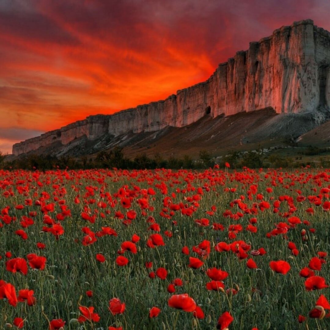 Закат, гора и маковое поле 🔥