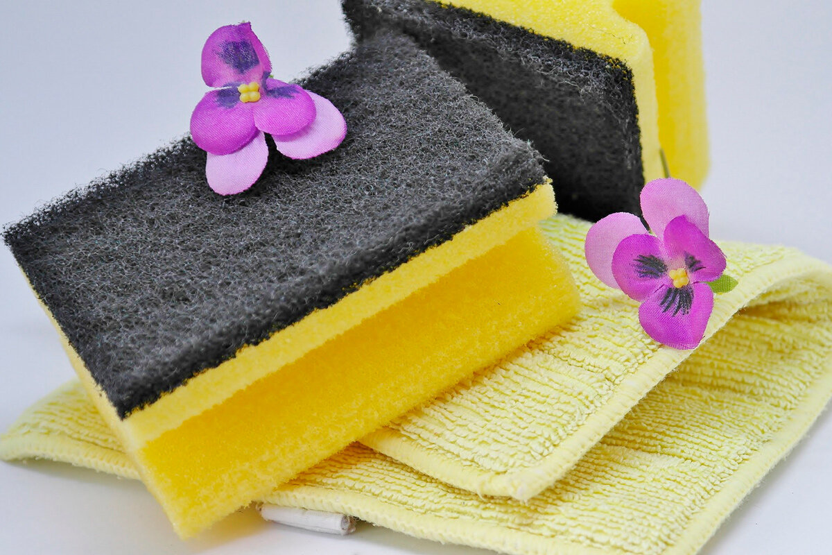    Фото: RitaE / Pixabay.com