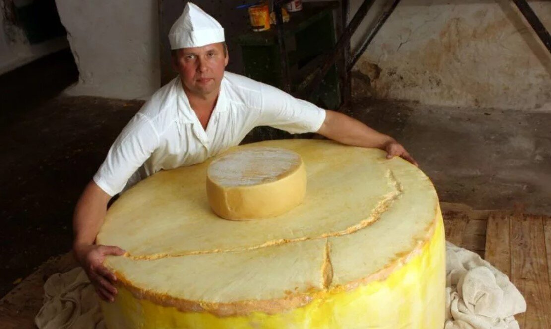 Кто придумал сыр. Огромный сыр. Гигантский сыр. Огромный кусок сыра. Большая головка сыра.