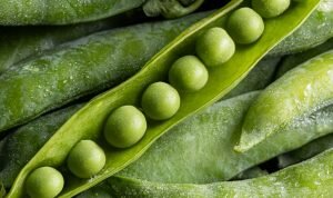    Фото: freepik.com Анна Полякова