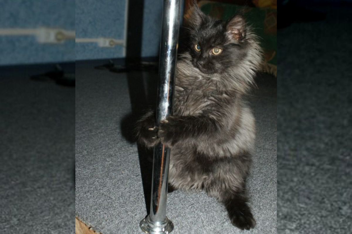 ����� - ������� � �����. �������� ��������: club.foto.ru