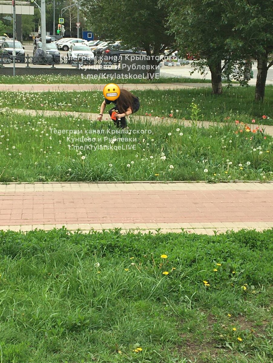 Осенний бульвар в районе Крылатское. 