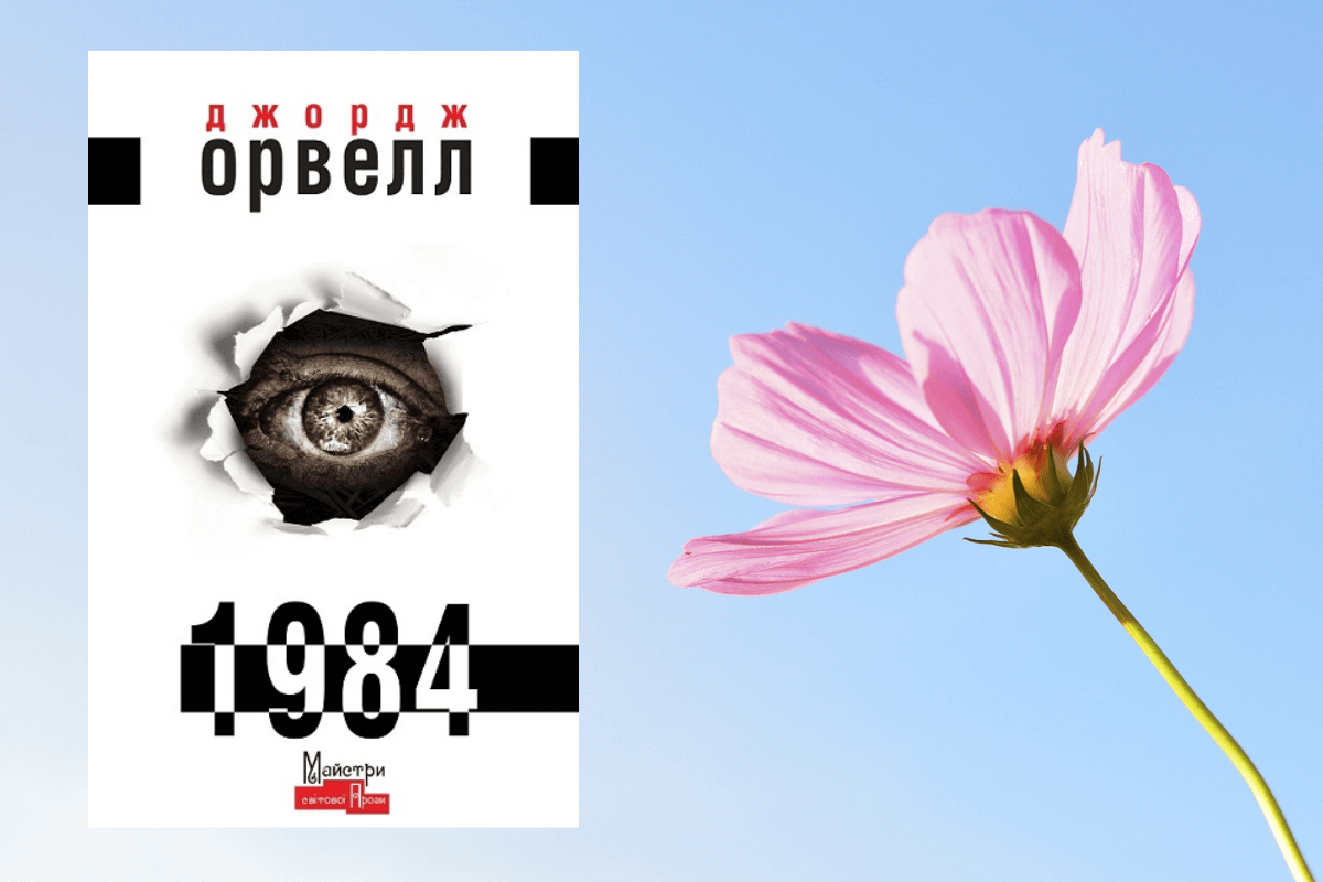 Топ самых читаемых и популярных книг мира | Jojo Slobo | Дзен