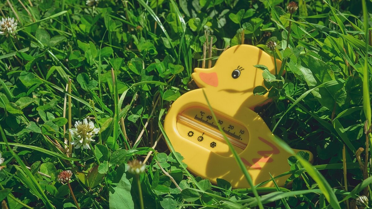     Гроза в понедельник в республике спрогнозирована синоптиками Башгидрометцентра.