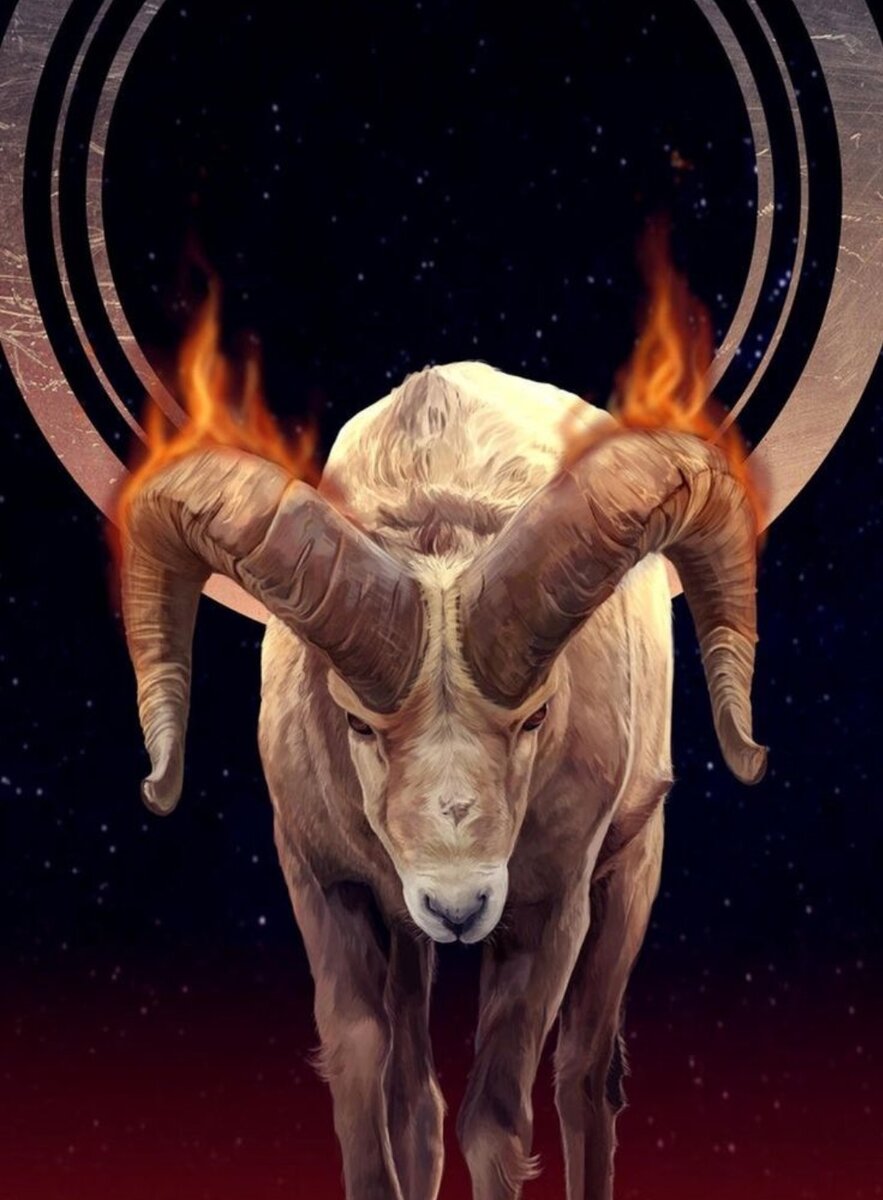 Изображение с сайта pinterest