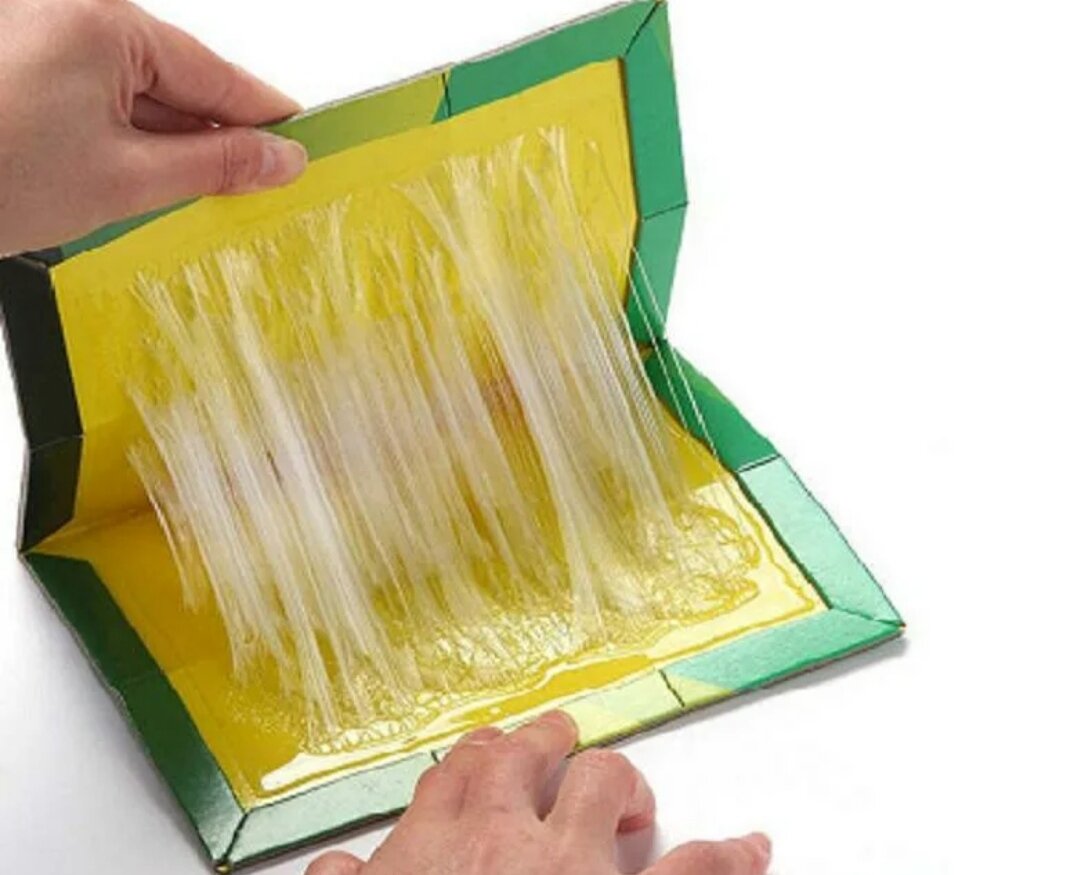 Жуть, правда? 