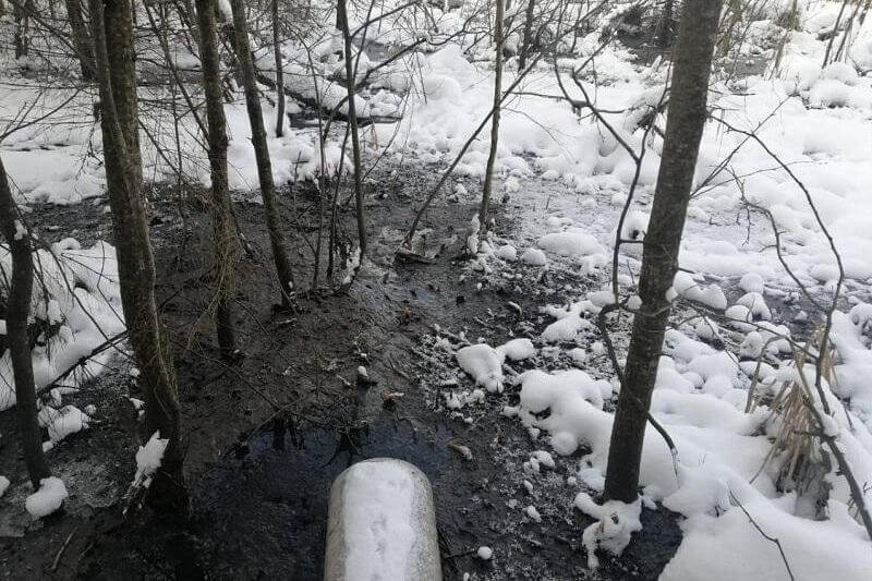    Фото: пресс-служба Министерства экологии и природопользования МО