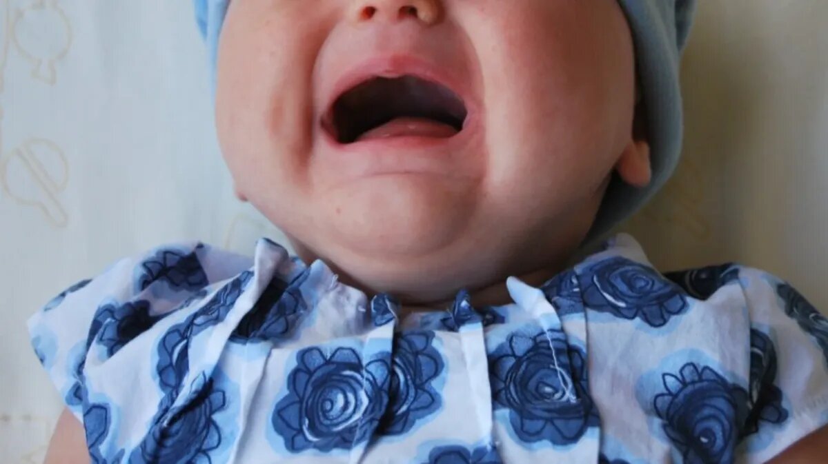 Фото: pxhere.com