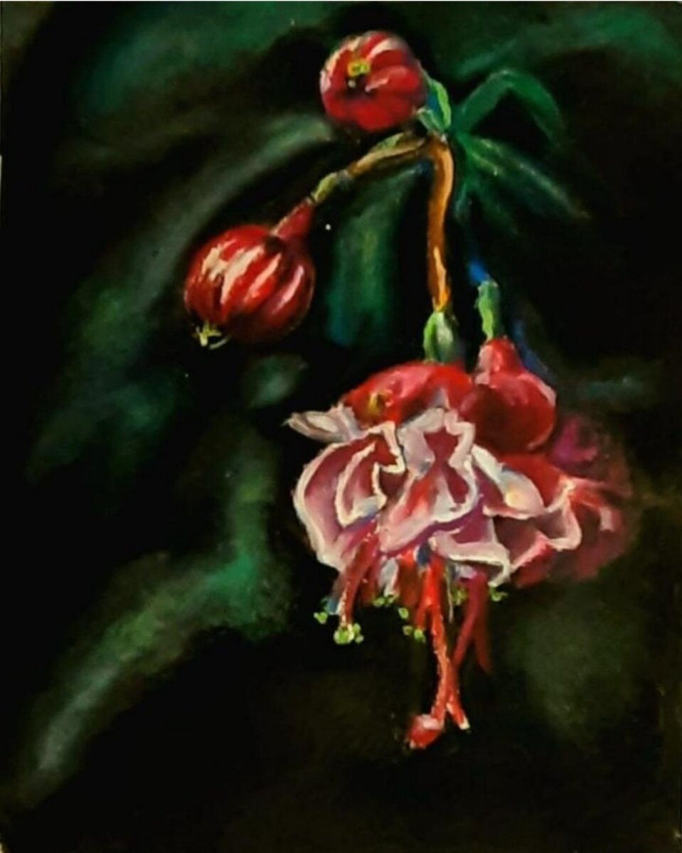 Фуксия. Бумага 16×19. Масляная пастель. Без рамки.