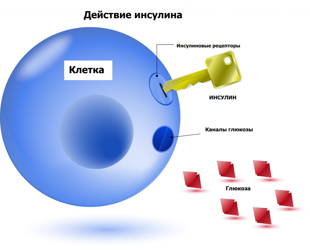 МИФЫ О САХАРНОМ ДИАБЕТЕ