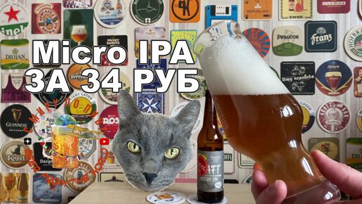 Удивительное пиво MicroIPA всего за 34 рубля