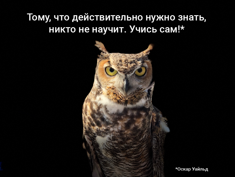 Photo-by-James-Lee-on-Unsplash